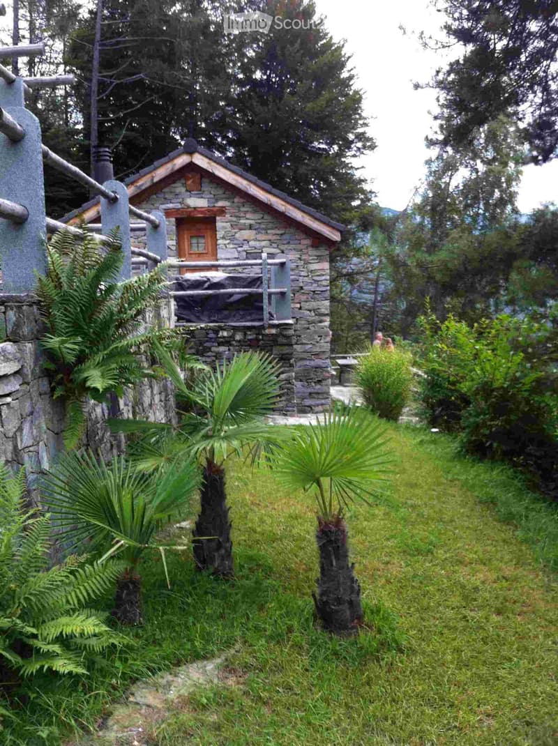 A small stone cottage with a wooden door and window, surrounded by lush greenery and palm-like plants.