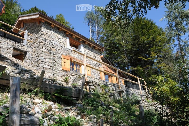 Stone house with wooden shutters and a raised ground floor, surrounded by trees and greenery.