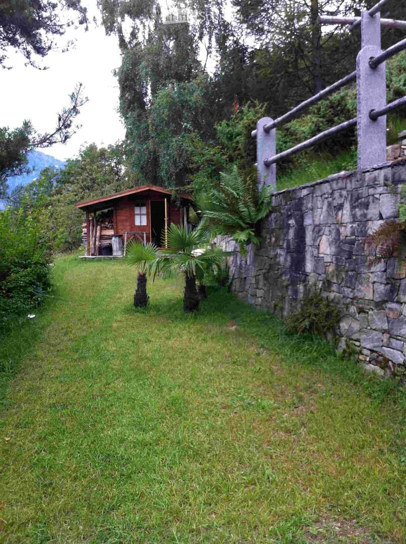 A grassy outdoor area with a stone wall, wooden fence, small wooden structure, and surrounding trees and plants.