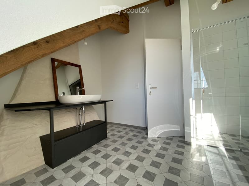 Modern bathroom with hexagonal tile floor, white sink on dark vanity, large mirror, and glass-enclosed shower.