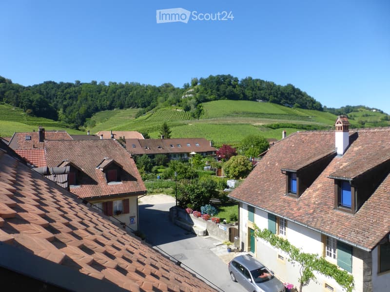 A picturesque village scene with traditional houses featuring red-tiled roofs, surrounded by lush green vineyards and rolling hills under a clear blue sky.