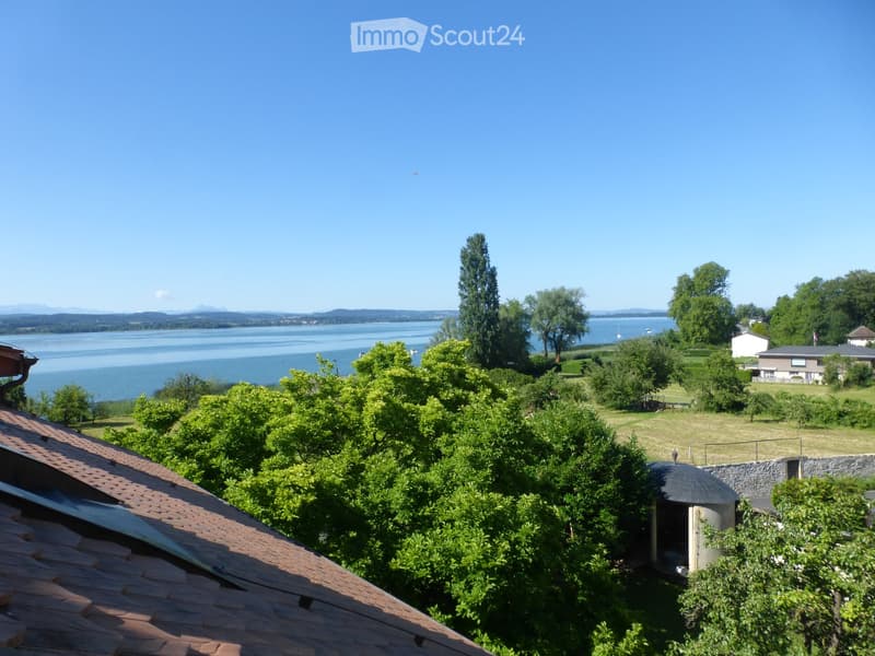 View from a rooftop showing a serene lake, surrounded by lush greenery and distant hills under a clear blue sky.
