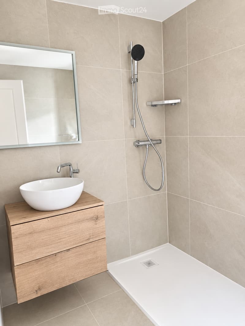 Modern bathroom with a white sink on a wooden vanity, a large mirror, and a walk-in shower with a handheld showerhead and rail.