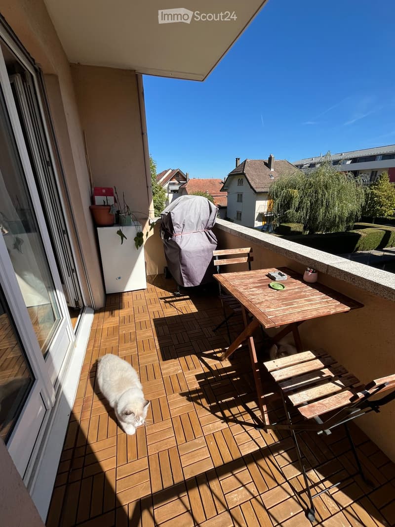 Balcony with wooden decking, a small table with chairs, a covered grill, a refrigerator, and a cat walking around.