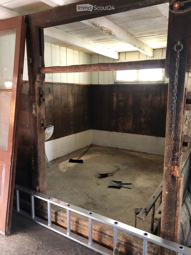 Empty stable with wooden walls, concrete floor, and metal railing. No furniture or equipment present.