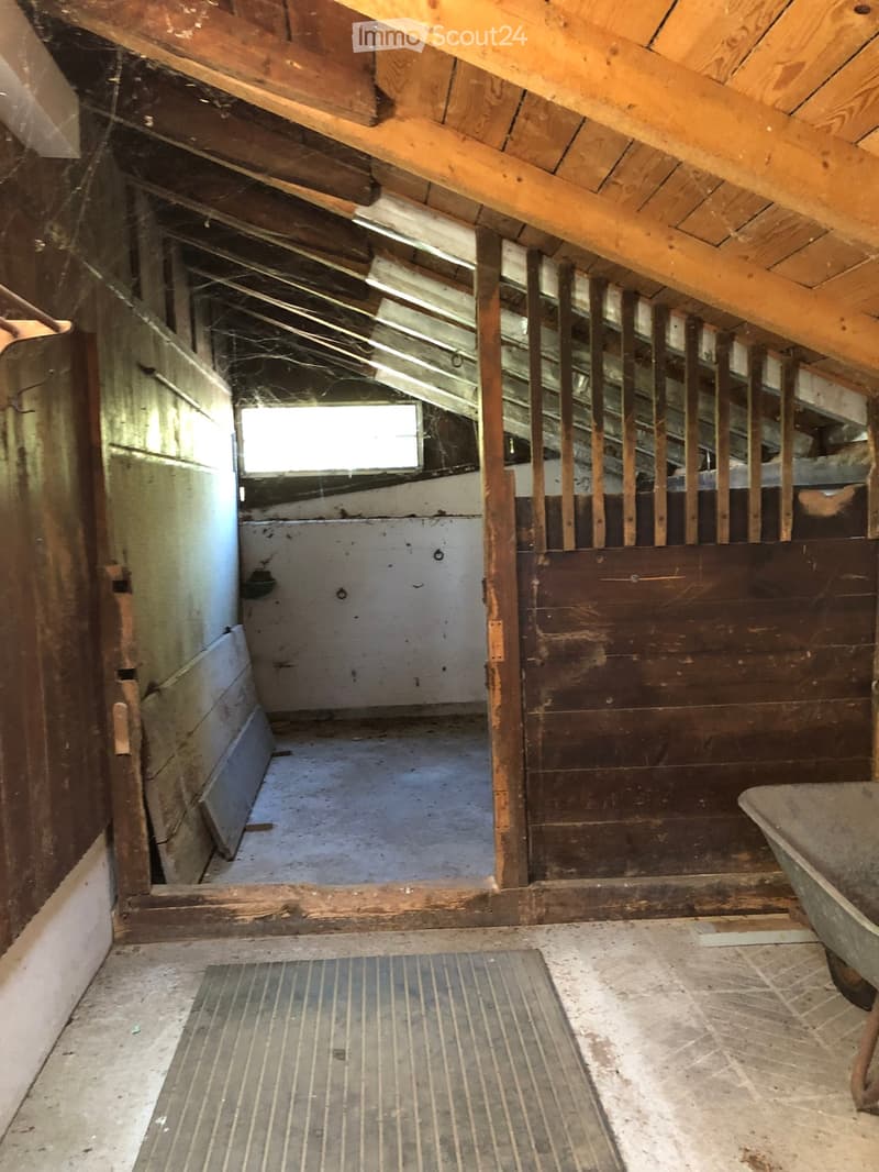 Empty attic space with exposed wooden beams, concrete floor, and a small window letting in light. No furniture or equipment present.