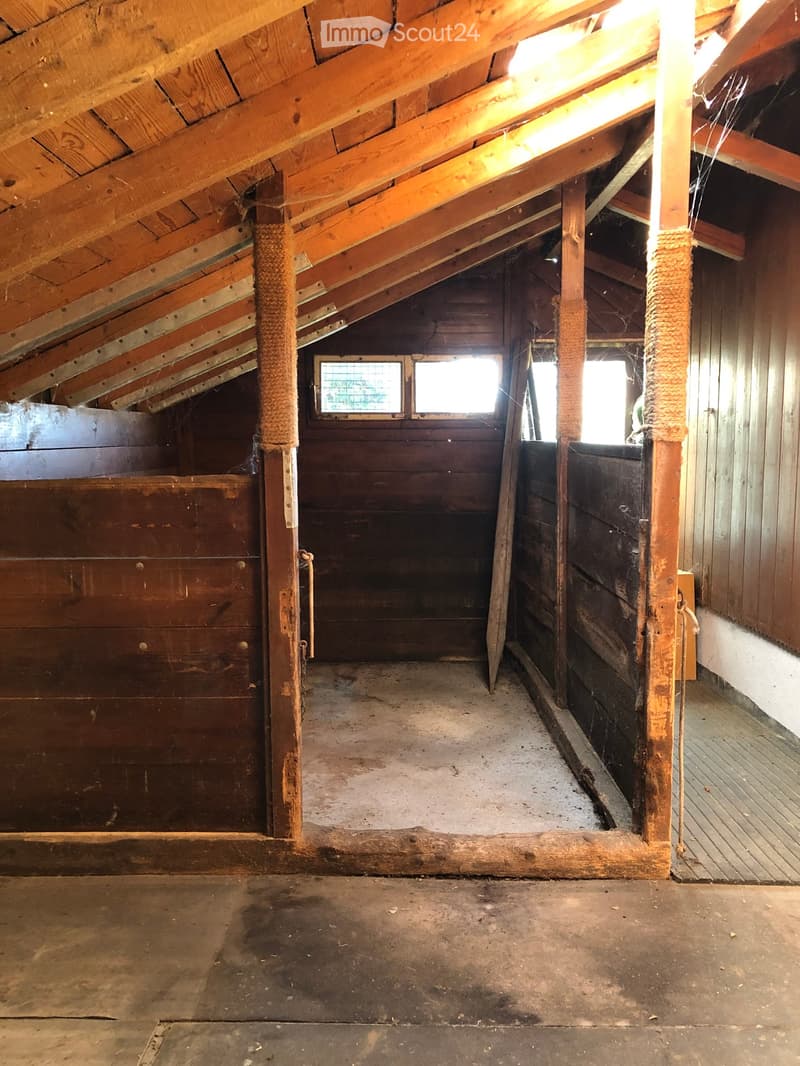 Empty attic space with wooden beams, exposed rafters, and three windows allowing natural light. The floor is concrete, and there are wooden doors on either side.