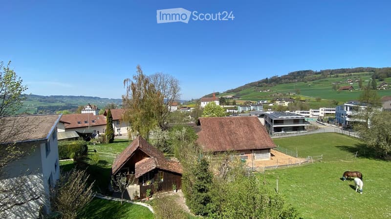 Aerial view of a rural village with houses, green fields, and grazing horses.