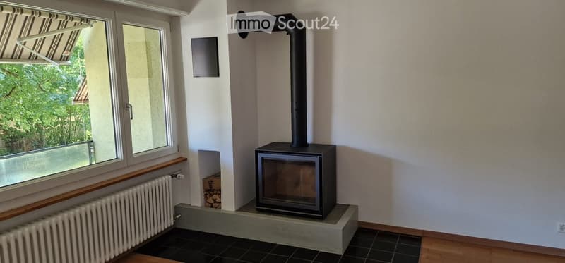 Modern living room with a black wood-burning fireplace, radiator, large window with blinds, and wooden flooring.