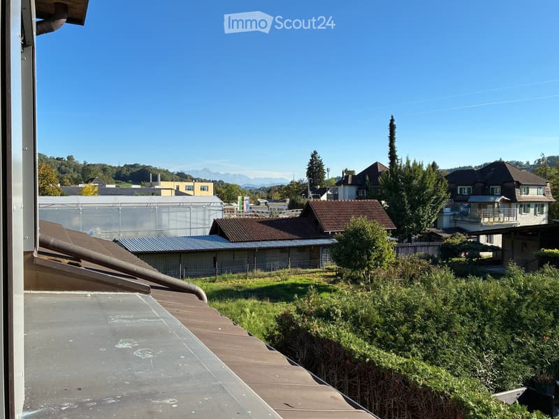 View from a balcony or terrace showing a suburban neighborhood with houses, trees, and distant mountains under a clear blue sky.