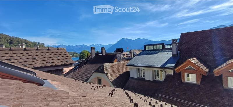 Roof tops of traditional European houses with tiled roofs, chimneys, and solar panels, overlooking a scenic mountain landscape.