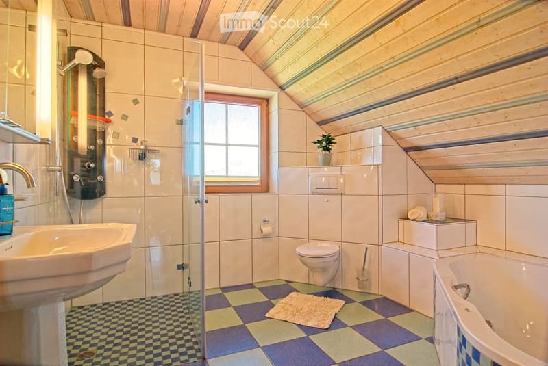 Bathroom with a sink, toilet, bathtub, and shower area. Features a window, a small plant on the windowsill, and a towel on the floor.
