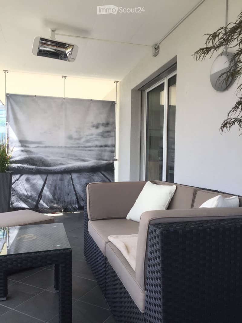 Balcony with a wicker sofa, glass coffee table, and potted plant, featuring a large window and a decorative screen with a scenic image.