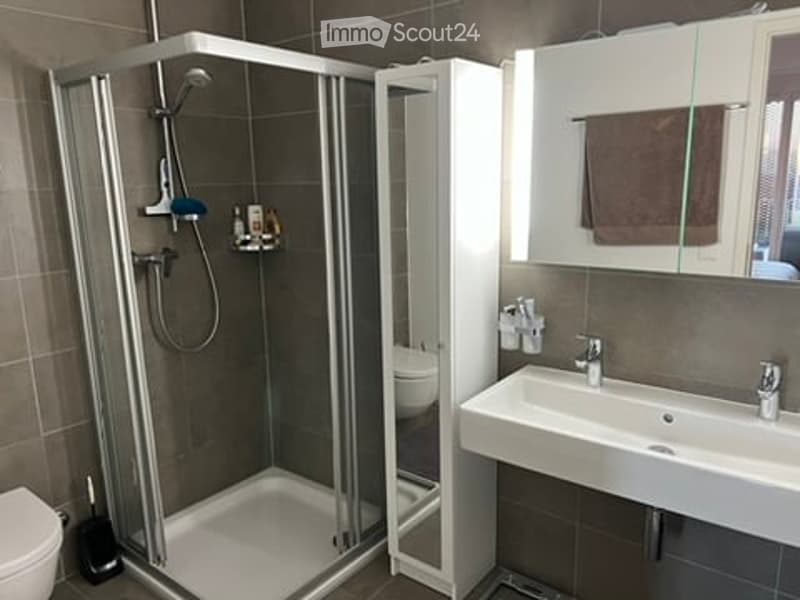 Modern bathroom with a glass-enclosed shower stall, toilet, sink, and a mirror with a towel hanging on it.