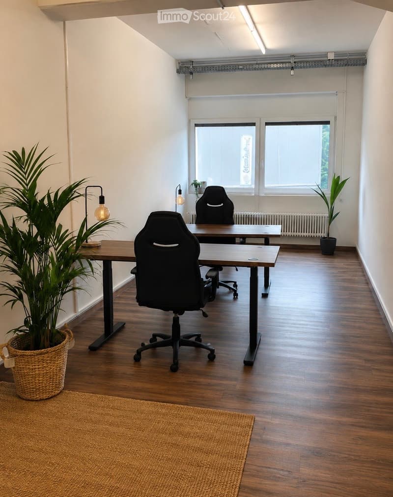 Modern office space with wooden flooring, large windows, two desks, two chairs, and decorative plants.