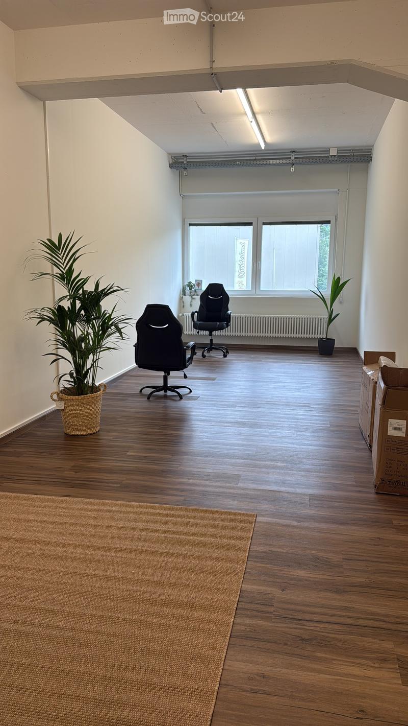 Bright, unfurnished room with wooden flooring, two black office chairs, a large potted plant, a radiator, and a small rug.