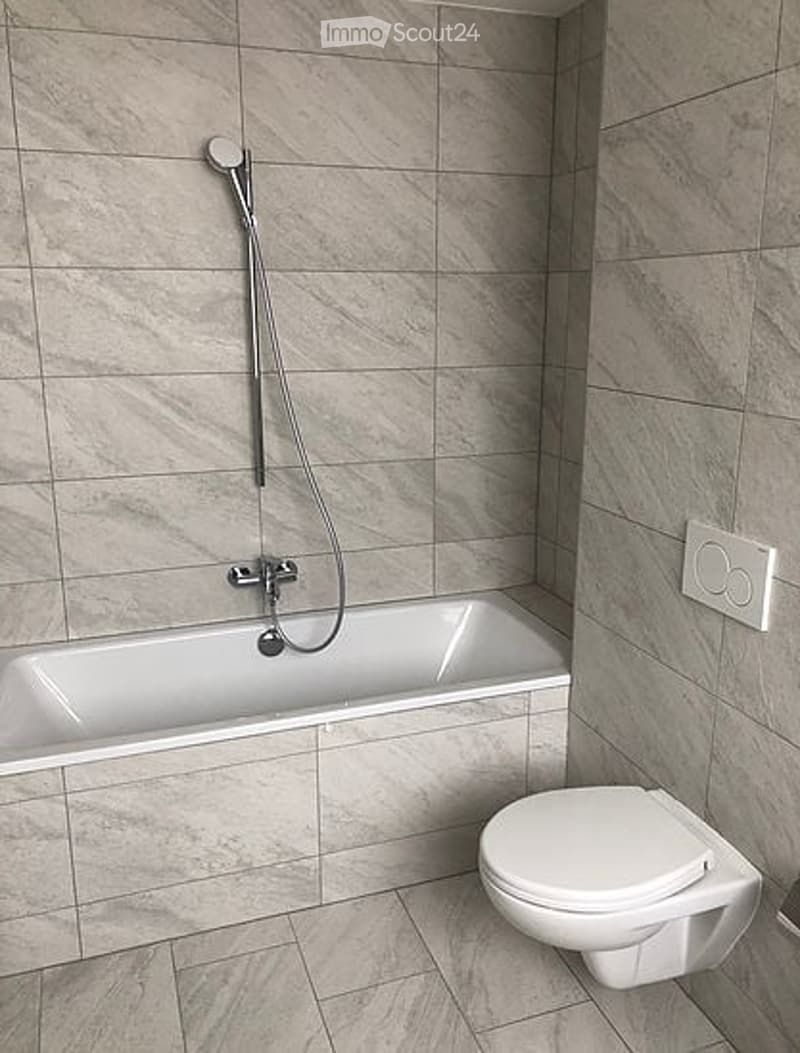 Modern bathroom with a white bathtub, toilet, and a handheld showerhead attached to the wall.