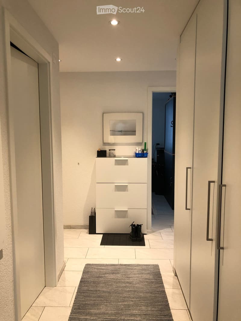 Modern hallway with white walls, tiled floor, built-in storage unit, and a small entryway area with a rug and shoes.