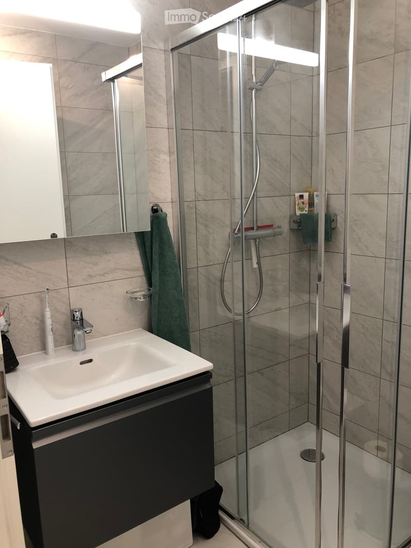 Modern bathroom with a white sink, mirror, and glass-enclosed shower. Features a towel, toothbrush, and shower accessories.