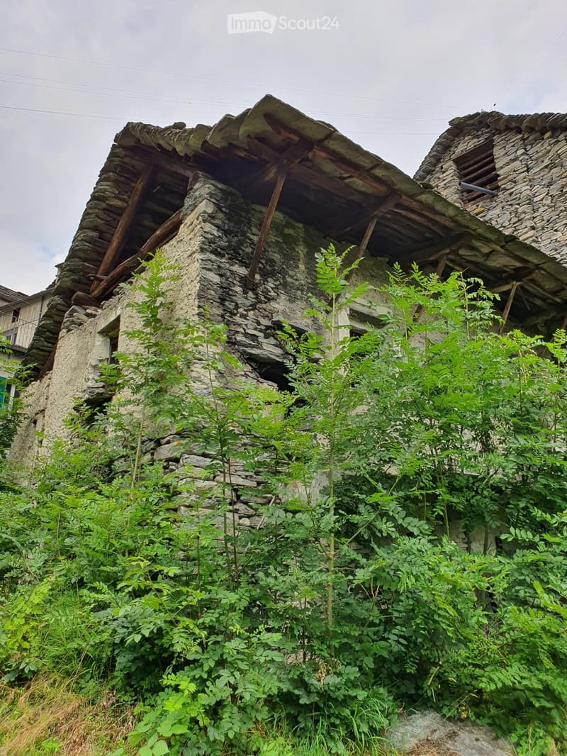 A partially collapsed stone building with overgrown vegetation in front, featuring a damaged roof and exposed wooden beams.