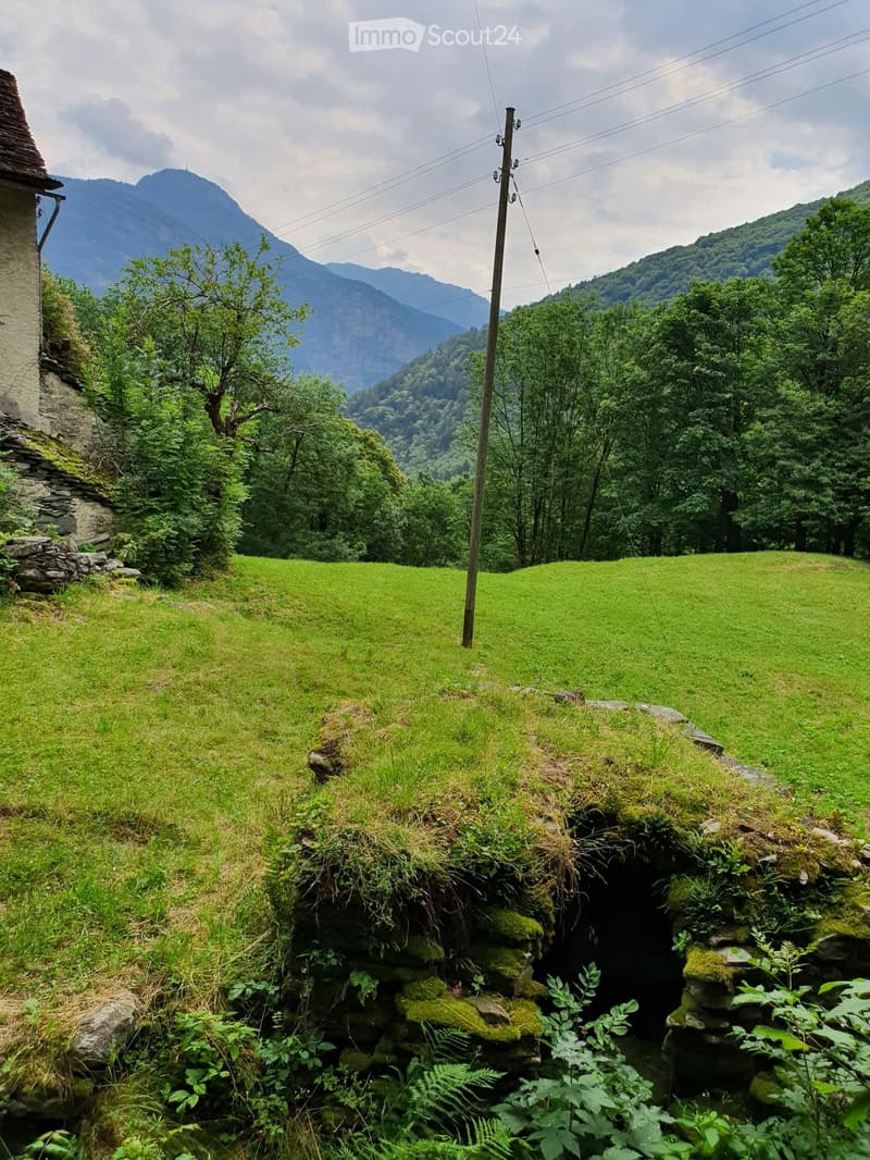 A lush green meadow with a stone structure partially covered in grass and moss, surrounded by trees and mountains in the background.