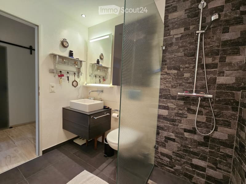 Modern bathroom with a dark stone-tiled shower area, a white sink on a dark vanity, a toilet, and a glass-enclosed shower. Shelves hold toiletries and keys.