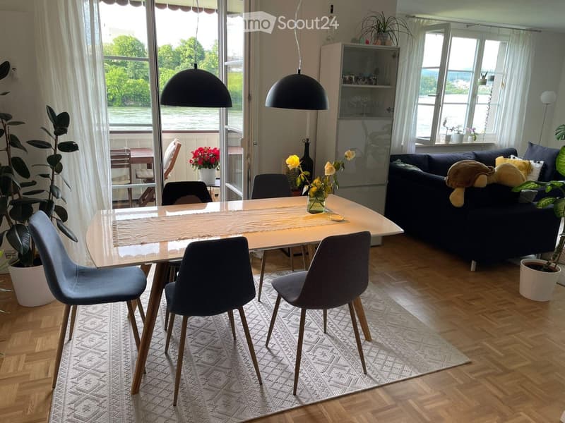Modern living and dining area with a sofa, dining table, chairs, and decorative plants, overlooking a river view.