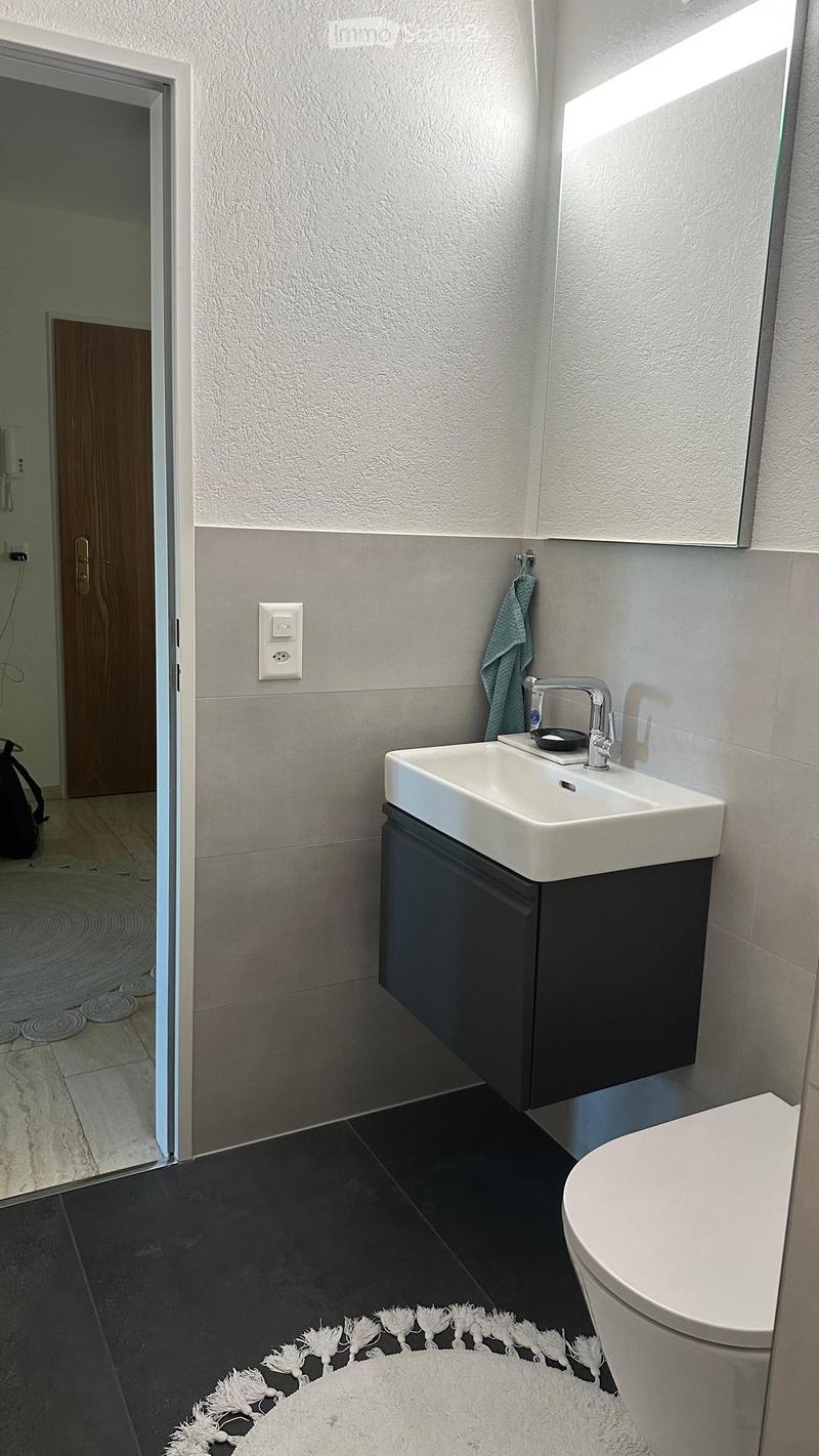 Modern bathroom with a white sink, chrome faucet, dark cabinet, toilet, and a white towel on the floor.