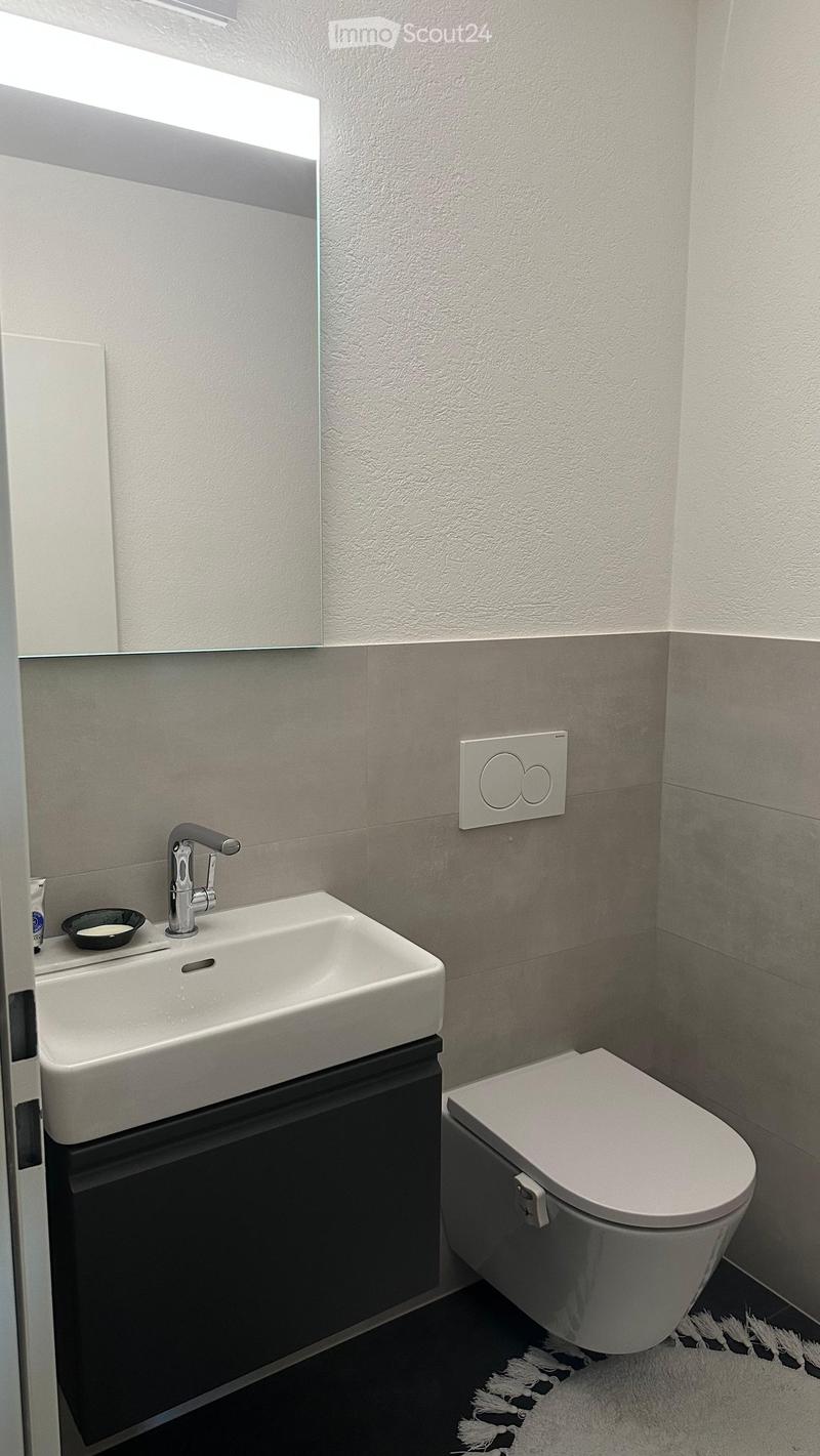 Modern bathroom with a white sink, chrome faucet, toilet, and a large mirror above the sink. The walls are tiled in a two-tone design, and a small white rug is placed on the floor.