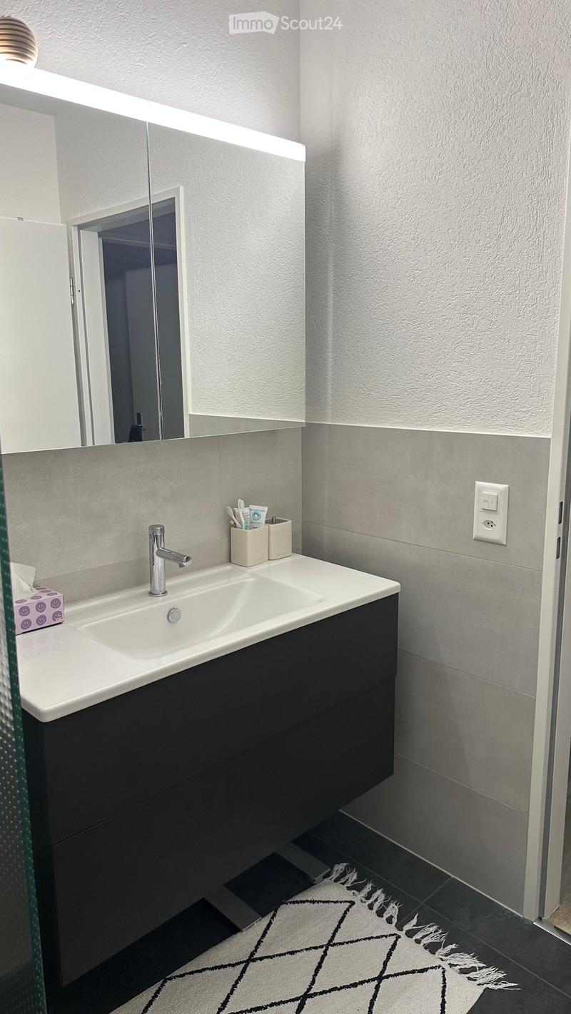 Modern bathroom with a white sink, chrome faucet, mirror, toothbrush holder, and a small tissue box on the counter. The walls are grey with a textured finish, and the floor has a black and white patterned rug.