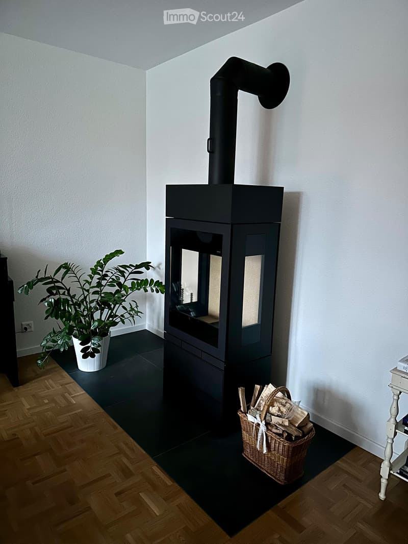 Modern room with a sleek black wood-burning fireplace, a wicker basket of firewood, and a potted plant on the floor.