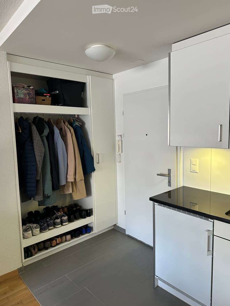 Modern hallway with built-in white closet featuring hanging coats, shoes, and storage boxes, adjacent to a small white cabinet with a mirror and countertop.