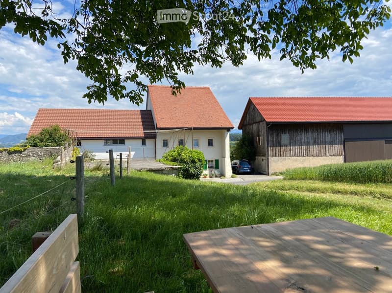 A rural setting with two houses, one white and one wooden, surrounded by a grassy area and trees. A wooden table and bench are visible in the foreground.