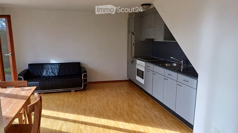 A modern, open-plan living and dining area with a kitchen. Features include a black leather sofa, a wooden dining table with chairs, grey kitchen cabinets, a refrigerator, an oven, and a sink with a faucet. The room has wooden flooring and large windows a