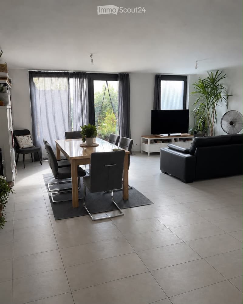 Modern living and dining area with a sofa, dining table, chairs, TV, and potted plants. Large windows with curtains provide natural light.