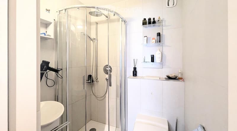 Modern bathroom with a glass-enclosed shower, bathtub, shelves with toiletries, and a hair dryer on the wall.