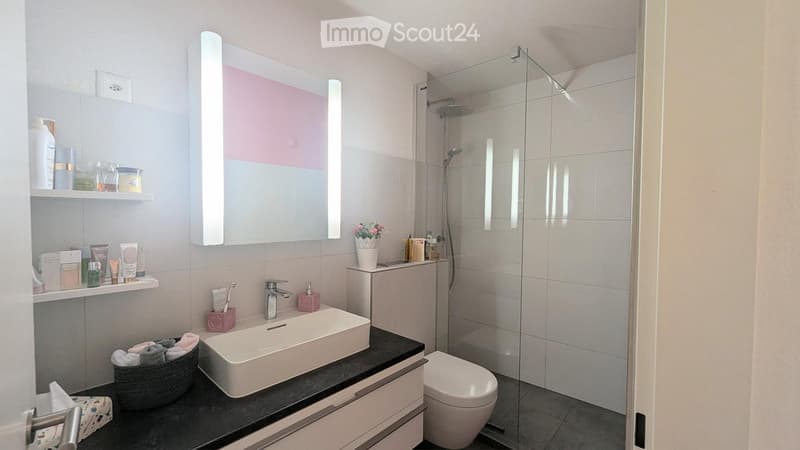 Modern bathroom with a white sink, large mirror, glass-enclosed shower, and neatly arranged toiletries on shelves.