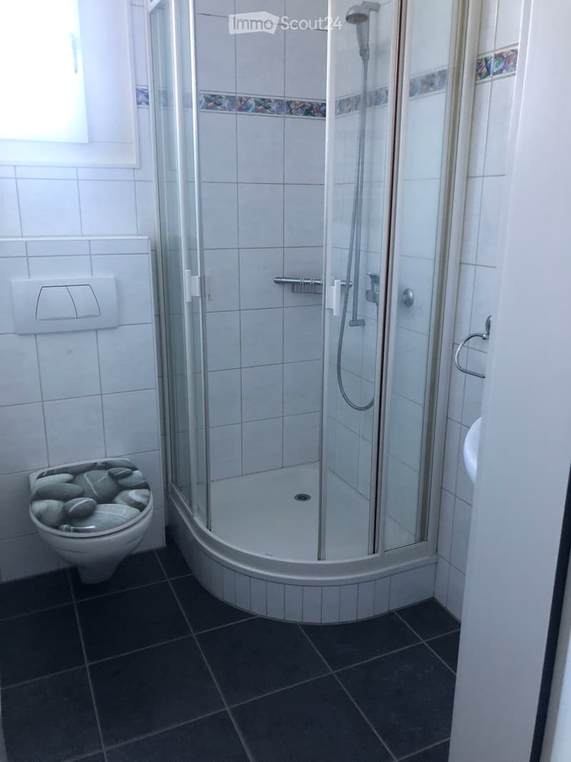 3,5-Zimmer Doppeleinfamilienhaushälfte in Thun (3)