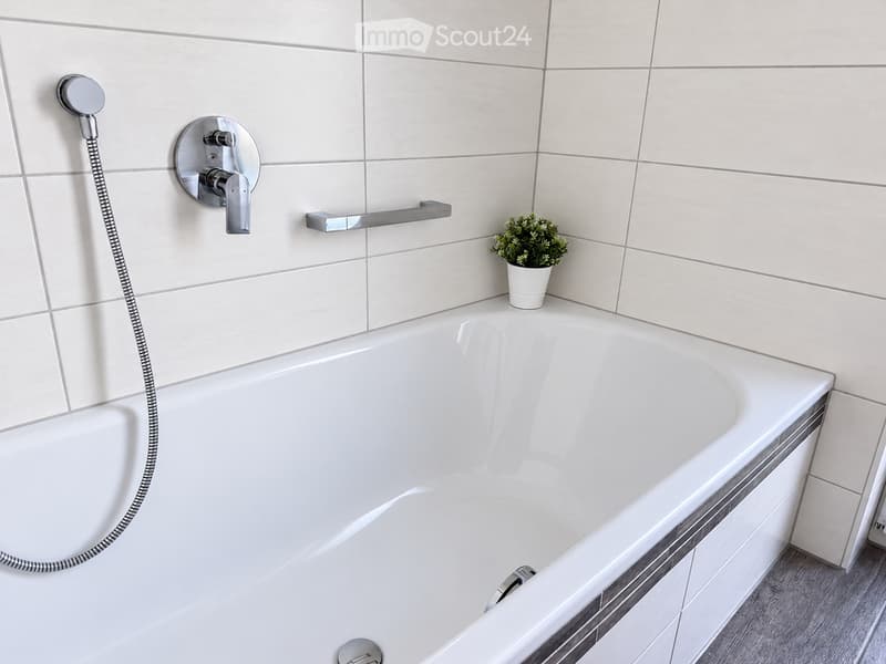Modern bathroom with a white bathtub, chrome faucet, handheld showerhead, handrail, and a small potted plant on the edge of the tub.