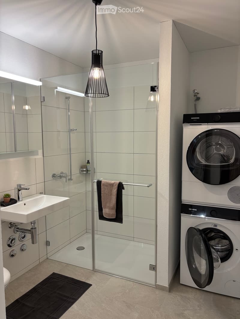 Modern bathroom with a white sink, glass shower enclosure, Siemens washing machine and dryer, and a hanging light fixture.