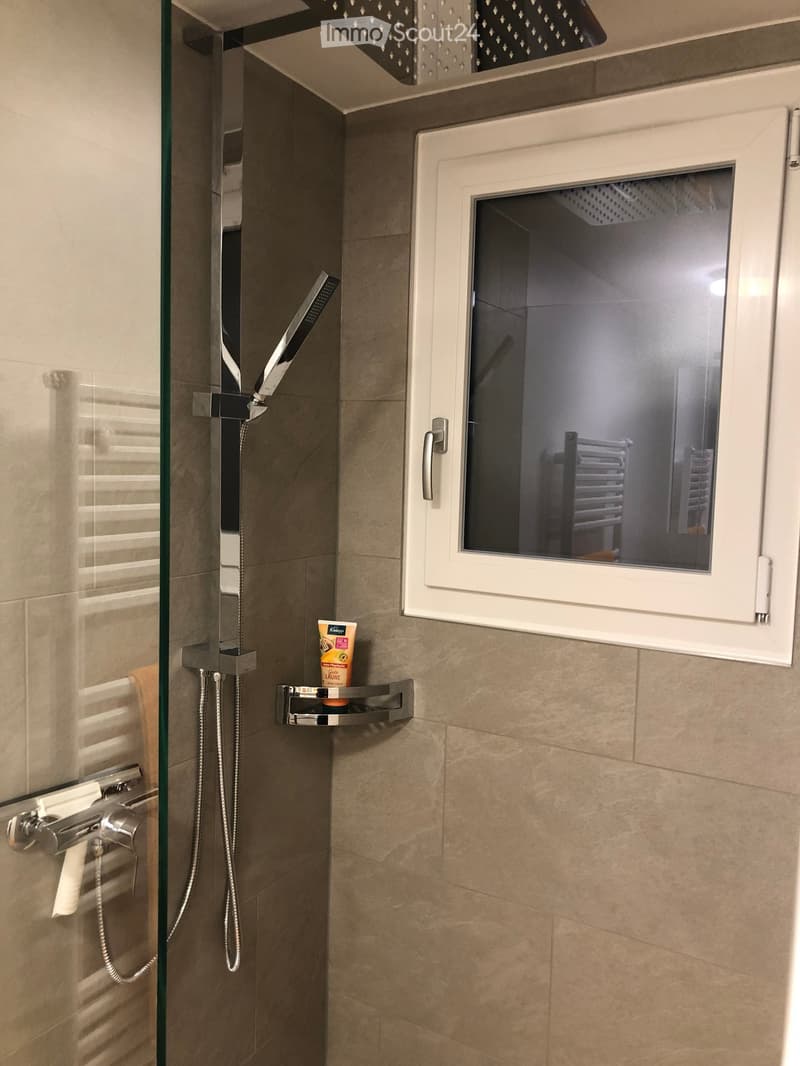 Modern shower area with glass enclosure, chrome fixtures, and a small shelf holding a bottle of shower gel.