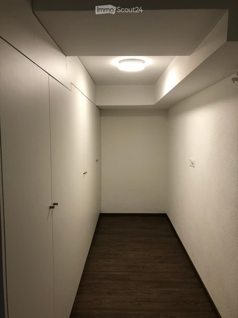 A narrow hallway with white walls, wooden flooring, and built-in white cabinets on one side. The ceiling features a recessed light fixture.