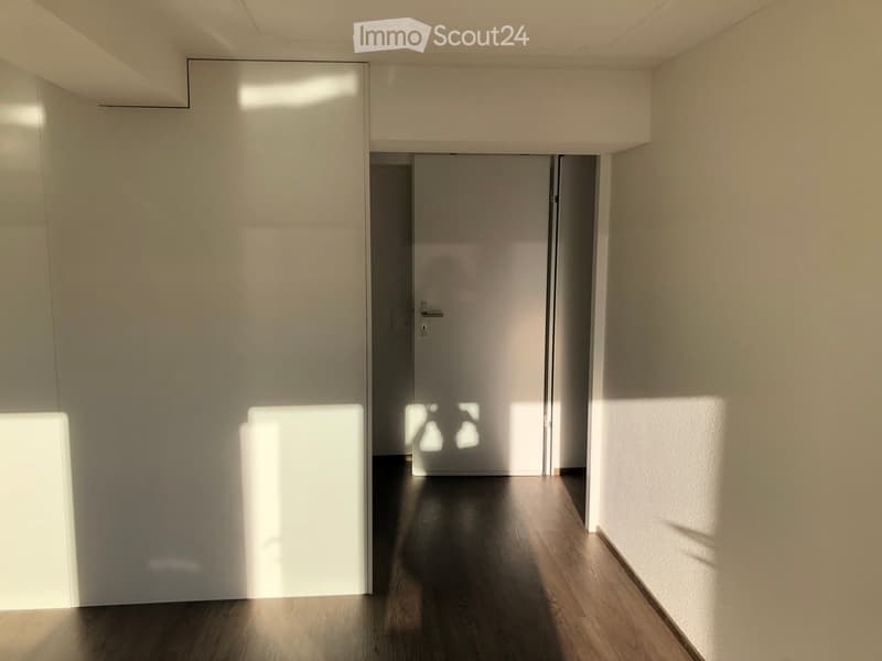 A modern hallway with light-colored walls, dark wooden flooring, and a closed door at the end.