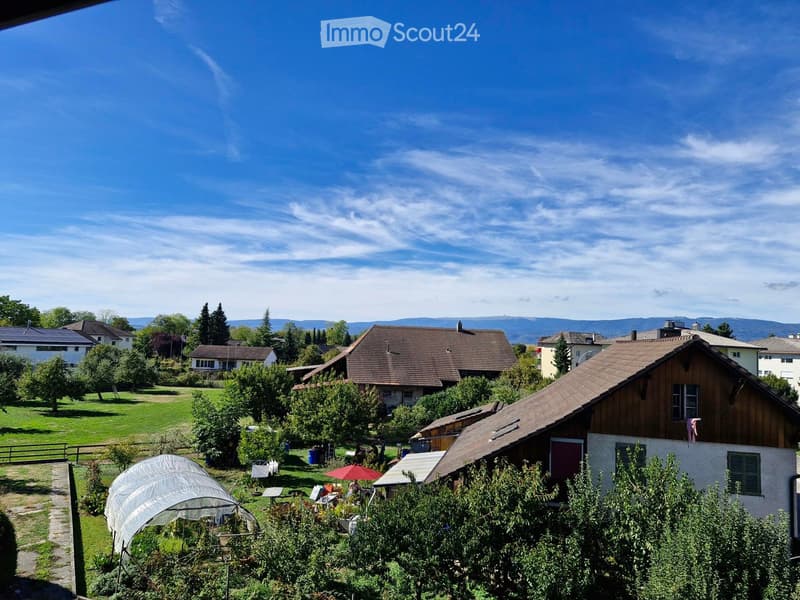 A peaceful garden area with a greenhouse, outdoor furniture, and surrounding houses under a clear blue sky.