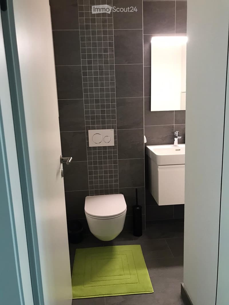 Duplex 3.5 Bulle quartier très calme (8)