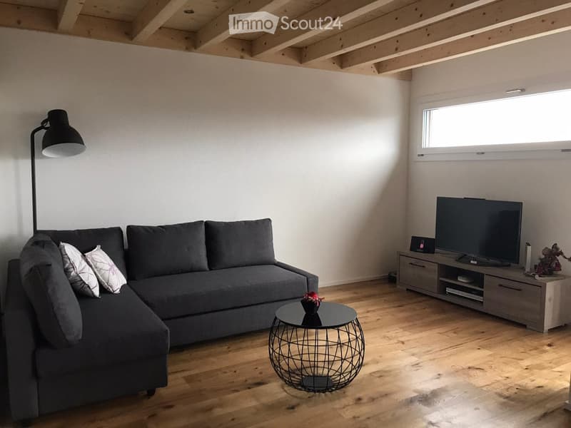 Duplex 3.5 Bulle quartier très calme (3)