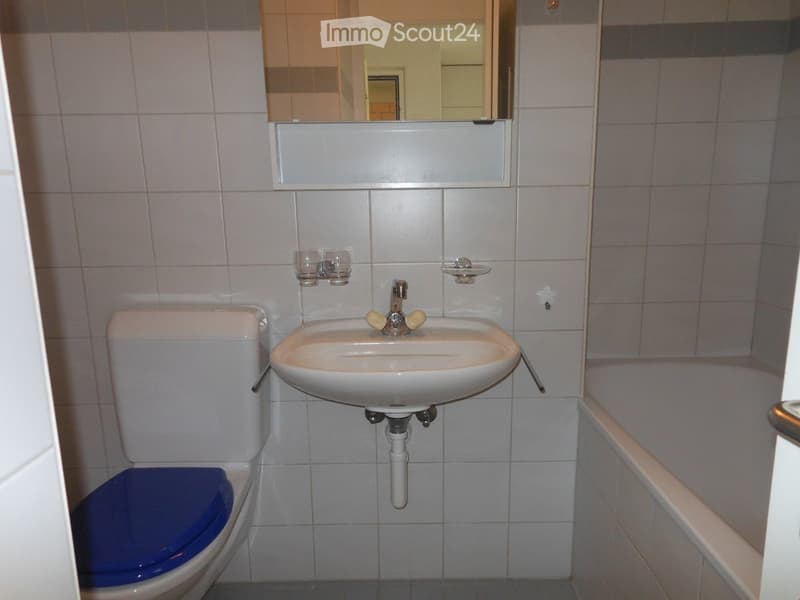 Bathroom with a toilet, sink, and mirror. The sink has a modern faucet with two handles and a small shelf above it. The toilet has a blue seat cover.
