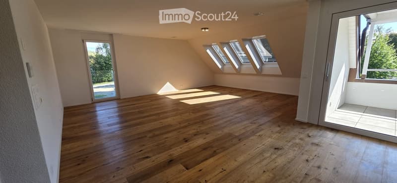Empty attic room with wooden flooring, large skylights, and sliding glass doors leading to a balcony.