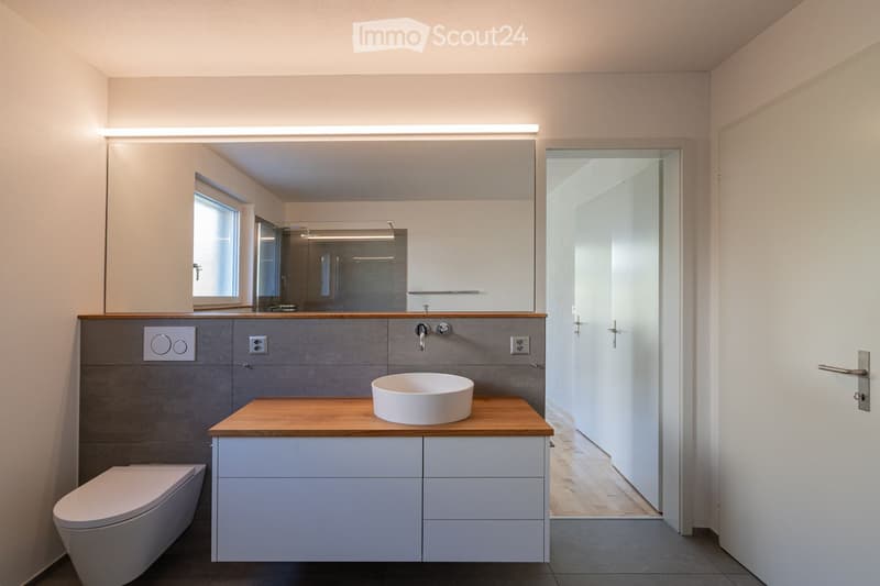 Modern bathroom with a white sink on a wooden countertop, a toilet, a large mirror, and built-in cabinets.