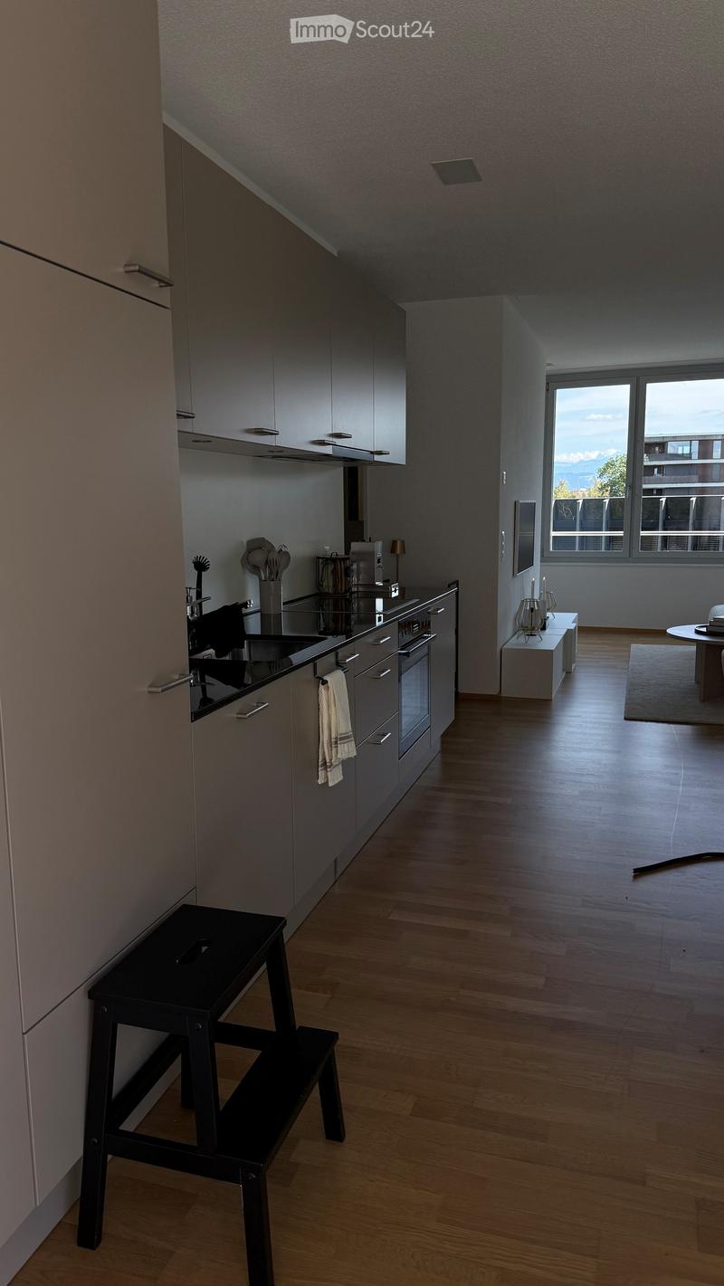 Modern kitchen with grey cabinets, wooden flooring, and a black stool near the sink. A small table and chairs are visible in the adjacent living area.